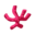 Coral PC Icon.png