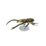 cyclommatus stag model