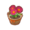 Magenta Daisies PC Icon.png