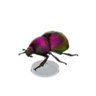 earth-boring dung b. model