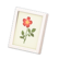 Framed photo's White variant