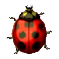Ladybug NL Model.png