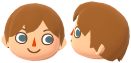 Hairstyle - Animal Crossing Wiki - Nookipedia