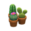 Mini-Cactus Set