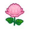 pink mums