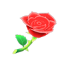 red roses