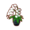 Moth Orchid PC Icon.png