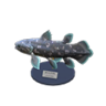 coelacanth model