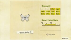 NH Critterpedia Common Butterfly Southern Hemisphere.jpg