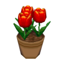 red tulips