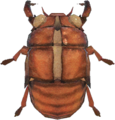 Cicada Shell NH.png