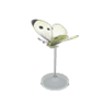 common butterfly model