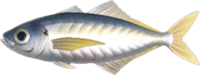 Artwork of Horse mackerel