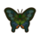 Peacock Butterfly NH Icon.png