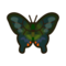 Peacock Butterfly NH Icon.png