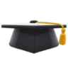 Scholar's Hat (Yellow) NH Icon.png
