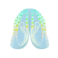 Northern Comb Jelly PC Icon.png