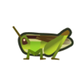 Rice Grasshopper NH Icon.png
