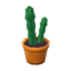 tall cactus