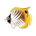 Threadfin Butterflyfish PC Icon.png