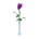 Single rose's Purple variant