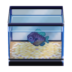Category:Animal Crossing fish furniture images - Animal Crossing Wiki