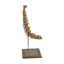 Seismo Skull WW Model.png