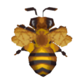 Honeybee CF Model.png