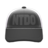 mesh cap