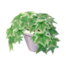 Potted Ivy NL Model.png