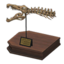 Spino Skull