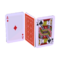 Card Screen (Red) NL Model.png