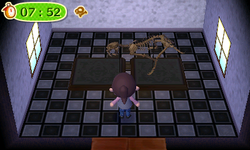 NL Easy Fossil Finder's Tour Display Room.png