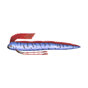 Oarfish NL Model.png