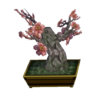 plum bonsai
