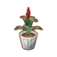 Bromeliaceae PC Icon.png