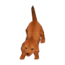 Dachshund model