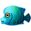 Napoleonfish