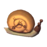 snail clock