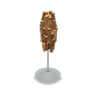 bagworm model
