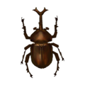 Dynastid Beetle CF Model.png