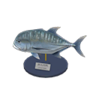 giant trevally model