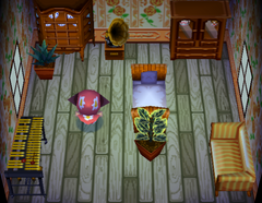 Lulu's house interior