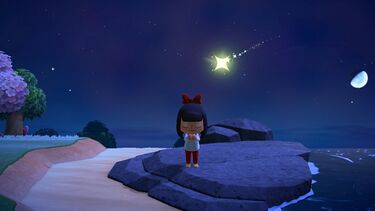 NH Meteor Shower 3.jpg