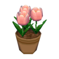Pink Tulips CF Model.png