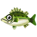 Sea Bass PC Icon.png