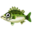 Sea Bass PC Icon.png