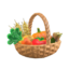 veggie basket