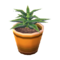 Aloe NL Model.png