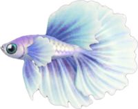 Artwork of Betta